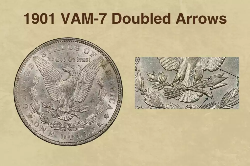 1901-P Morgan dollar VAM-7 Doubled Arrows reverse close-up showing doubled arrow shafts held in eagle's left talon